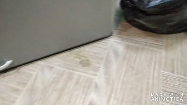 Лечим птичек, няшкаем ворону смотреть онлайн