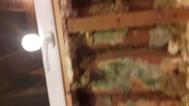 Почему деревянные дома говно ? смотреть онлайн