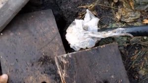 Бурение мотопомпой, аккуратная скважина на воду /  Фаниль Татарстан