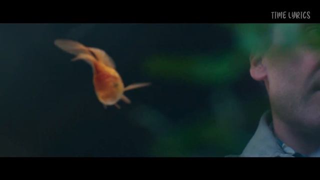 Moon Knight episode 3 credits song with lyrics | Warda - batwanis Beek I (VIDEO SONG) (FULL SONG) смотреть онлайн
