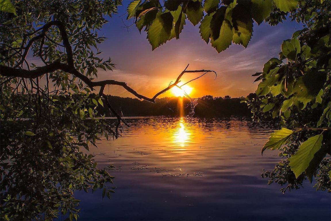 Вечерний мотив