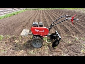 Мотоблок Ока - нарезка гребней и посадка картофеля.