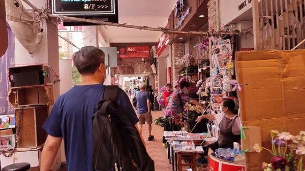 Mong Kok Flower Market (Hong Kong) Walking Tour Virtual Walk Walking Around, Walking Street