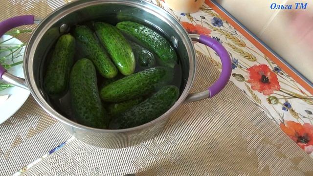 Малосольные Хрустящие Огурцы / Самые Вкусные Малосольные Огурцы Суточные / Съедаются мгновенно #19 смотреть онлайн