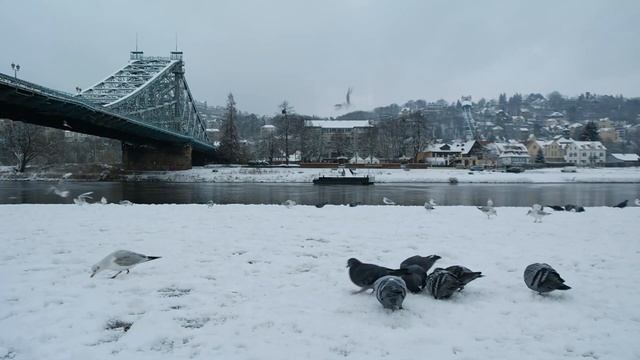 Второй день Масленицы "Заигрыш" смотреть онлайн