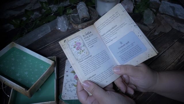 The Green Witch Oracle By Cheralyn Darcey Unboxing and First Impressions Review смотреть онлайн