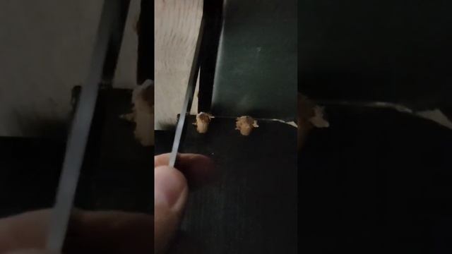 Как вытащить варочную панель Gorenje смотреть онлайн