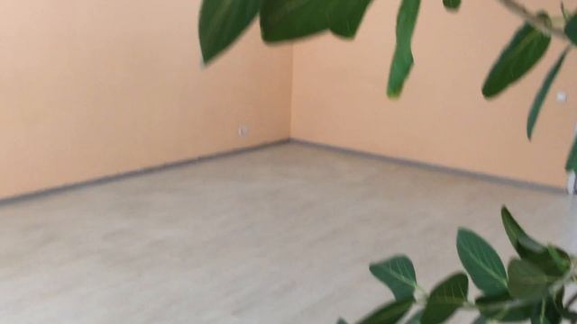 аренда Офиса 38мкв за 9500 грн Таирова + бесплатно э... смотреть онлайн