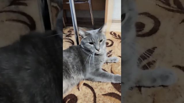 ВСЕ ЧАСТИ! [СЕРИАЛА БАРАНКИН!] смотреть онлайн