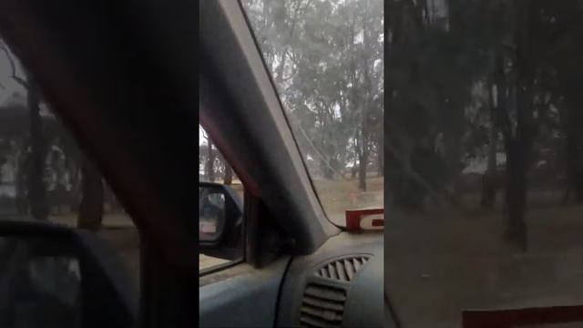 250cc Buggy maiden voyage смотреть онлайн