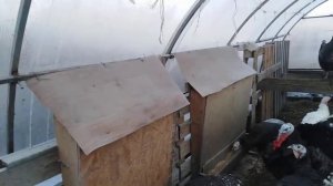 Содержания индюков зимой