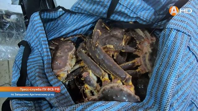 Пограничники совместно со спецами из ФСБ спасли крабов от жадных гурманов смотреть онлайн