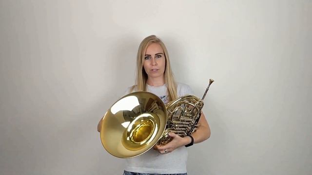 ⭐ How to Hold the French Horn...Like a Pro! смотреть онлайн