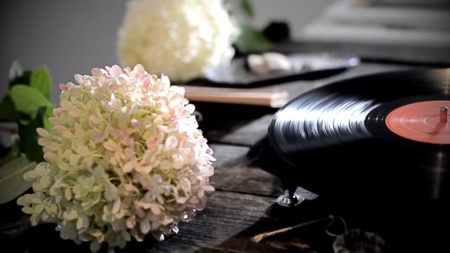 Emotional Blues Music - Soft Blues Guitar and Rock Music to Work, Relax смотреть онлайн