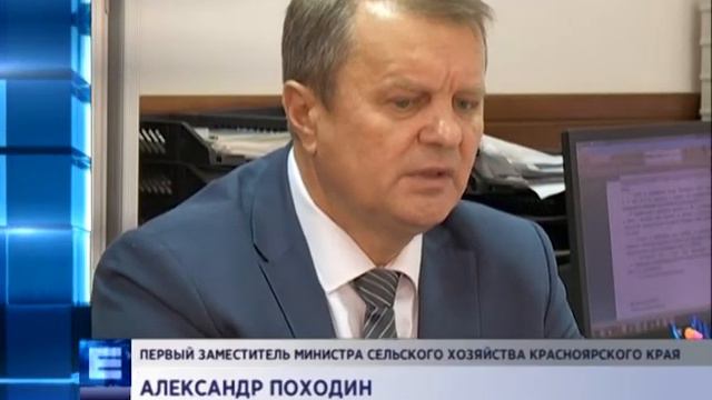 Комментарии: Африканская чума свиней смотреть онлайн