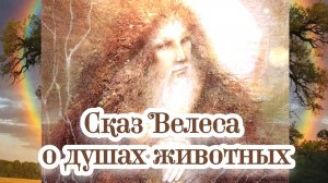 Сказ Велеса о душах животных
01.07.2024 🌚⚡🌞🔥