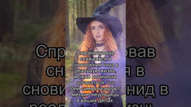 Сон дня: К чему снится Гнида? смотреть онлайн