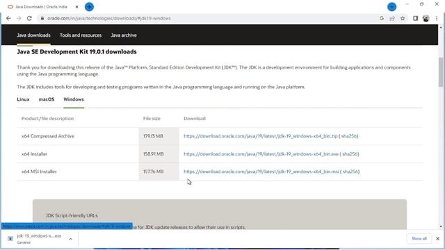 How to install java JDK 19.0.1 on Windows 11 [ 2022 UPDATES] смотреть онлайн