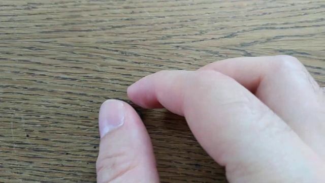 Прилетел ко мне жук - Бронзовка обыкновенная :) смотреть онлайн