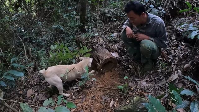 #601. Start a new long trip, rebuild the old house смотреть онлайн