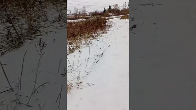 ВЛОГ Bruh Перекус бомжей 5