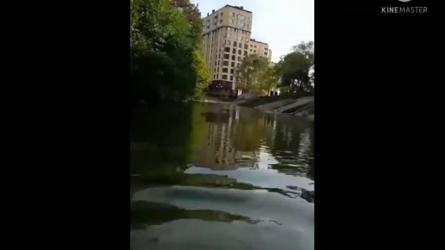Заключительные заплывы на р. Зап.Дагомыс и в море смотреть онлайн