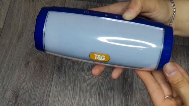 Музыкальная колонка T&G TG 165C смотреть онлайн