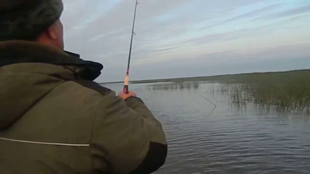 Жор окуня на Ловати. Поппер. смотреть онлайн