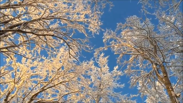 Ф.Тютчев "Чародейкою зимою..." смотреть онлайн