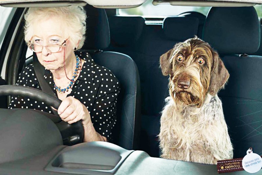 РЖУ НЕ МОГУ,ЖЕНЩИНЫ...ДОРОГИ...СО СМЕХУ ПОМРУ !!! смотреть онлайн