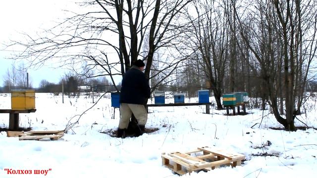 Пчёлы переезжают на новое место в деревне/Что случилось на пасеке? смотреть онлайн