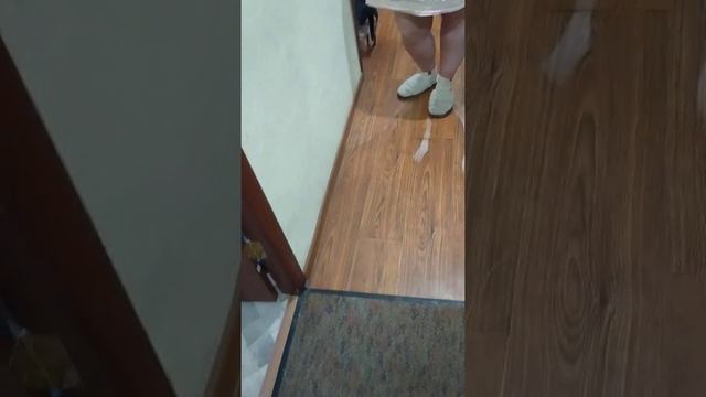 Худею/1 день голодания/Обзор покупок. смотреть онлайн