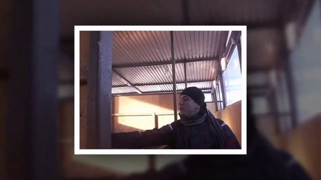 Как страус съел наш фотоаппарат ))) смотреть онлайн