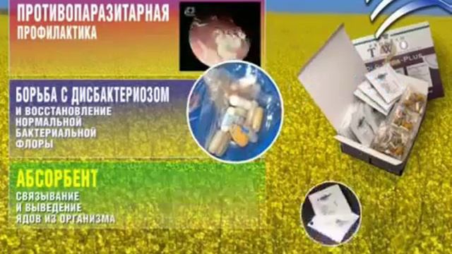 Эффективное похудение. Комплексная очистка организма. смотреть онлайн