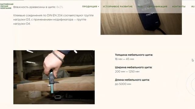 Разработка корпоративного сайта для "Балтиской Лесной Компании" на Тильде смотреть онлайн