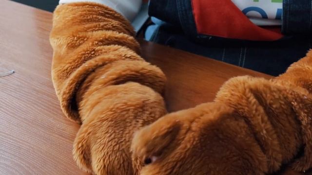 «Яркий и мягкий кот»: расскажем, как сделать очаровательную игрушку из старого свитера смотреть онлайн
