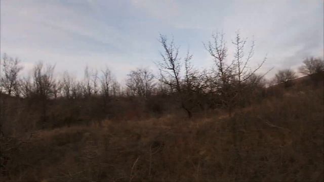 Второй выход на зайца. смотреть онлайн