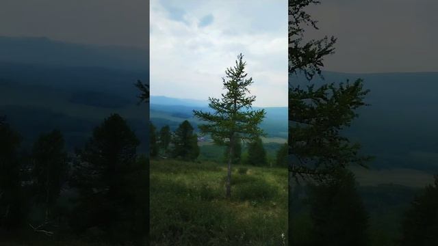 На горе Ауш смотреть онлайн