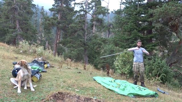 Боржомский заповедник с ночевкой смотреть онлайн