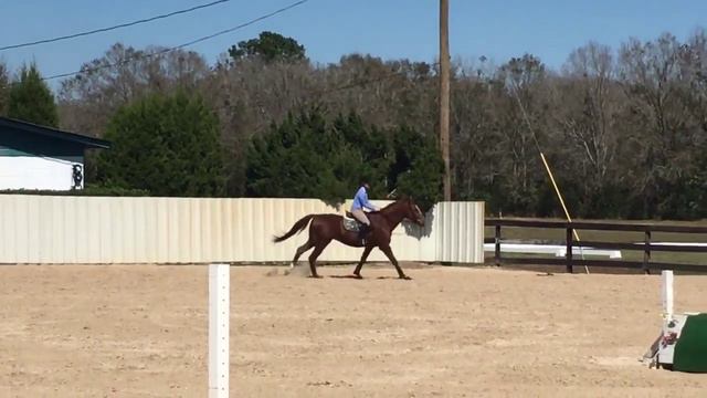 Kaycie and Longo 2-28-2016 3 смотреть онлайн