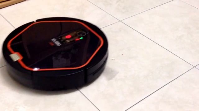 ICLEBO IN ACTION !!! смотреть онлайн