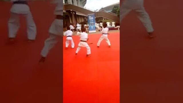 Kata Sansai смотреть онлайн