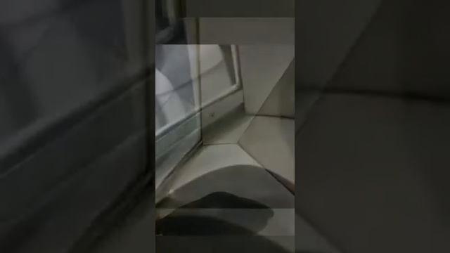 Генеральная душевой кабины