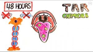 Что происходит, когда бросаешь курить? Полное объяснение