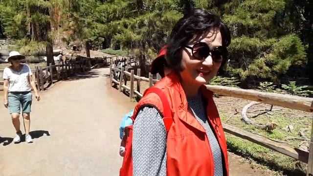 Sequoia park/Секвойя парк - как выглядят огромные деревья - дупло дерева , как корабль. смотреть онлайн