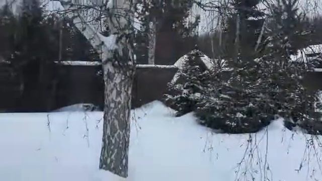 Продажа дома в Троицком районе МО смотреть онлайн