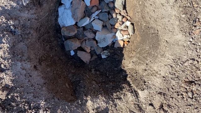 Посадка пиона купленного в магазине. смотреть онлайн