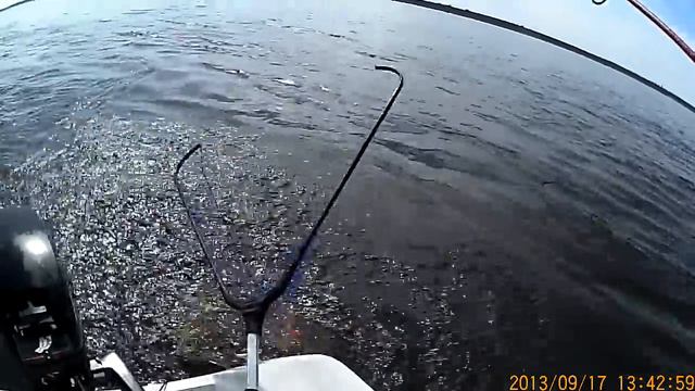 Жерех на Волге смотреть онлайн