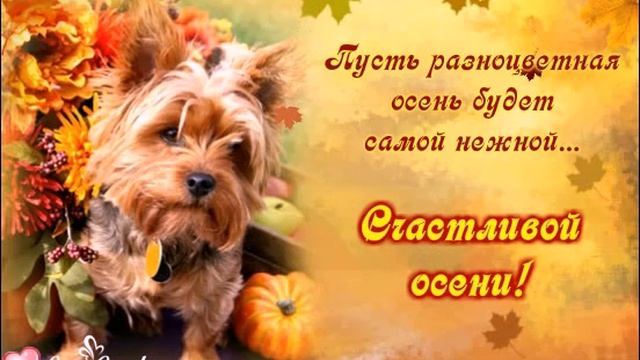 Пусть разноцветная осень будет самой нежной! смотреть онлайн