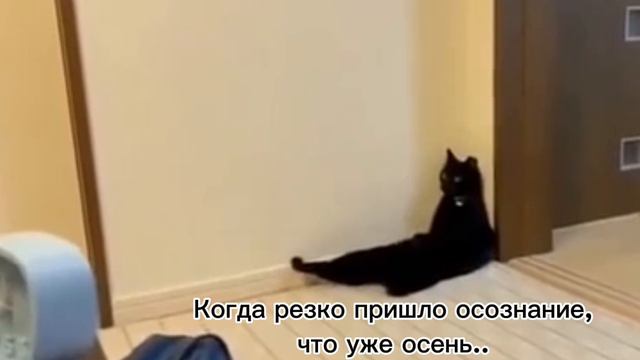 Осень 2024.mp4 смотреть онлайн